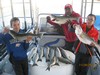 (11/24/2017) - Nice Striped Bass